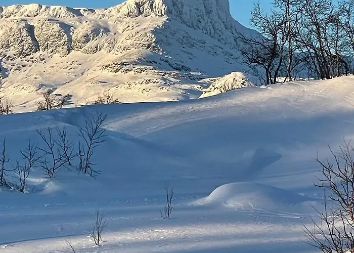 Apartament Beitotind Sentralt Pa *