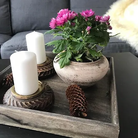 Beitotind Sentralt Pa Lejlighed