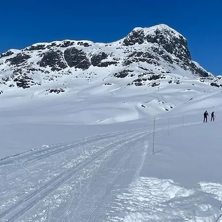 Beitotind Sentralt Pa Lejlighed